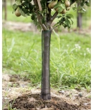 Filets d'arbre Flexguard