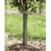 Filets d'arbre Flexguard