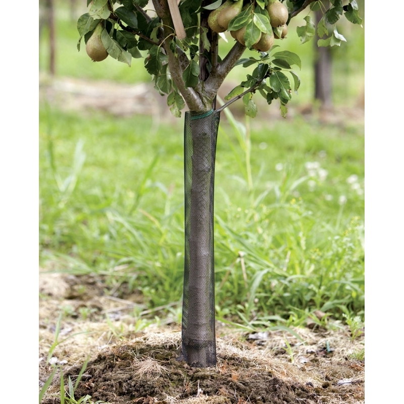 Protection du tronc Filets d'arbre Flexguard