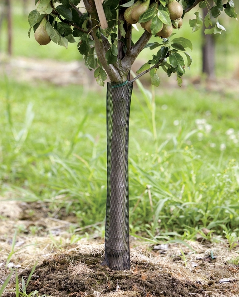 Protection du tronc Filets d'arbre Flexguard