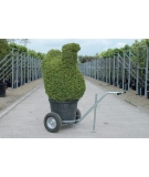 Charrette de transport pour plantes