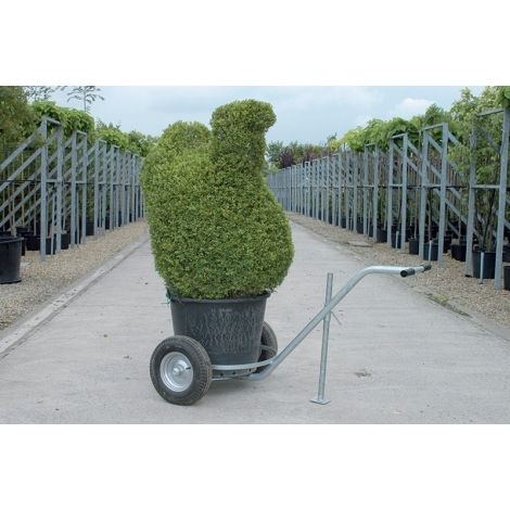 Charrette de transport pour plantes