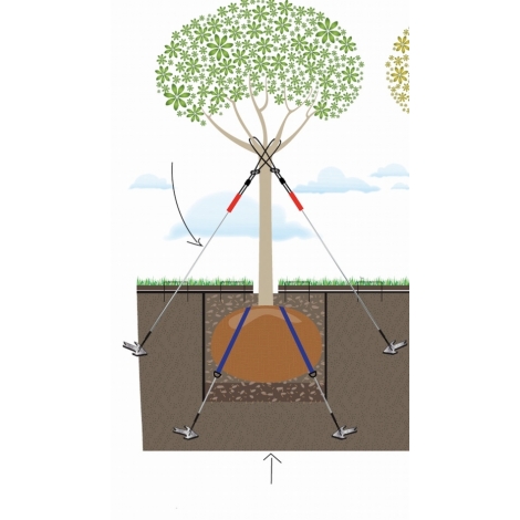 Ancrage de motte Toltex