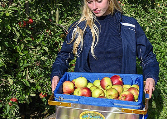 Pluk- en sorteermateriaal voor de fruitteelt